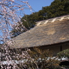 民家