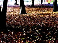公園