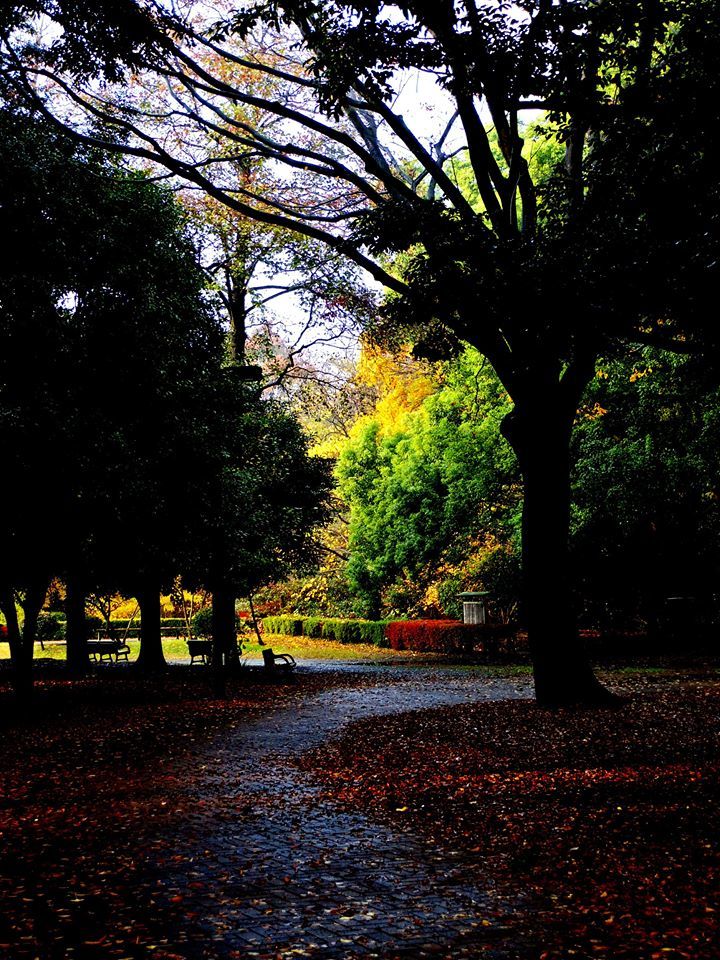 公園