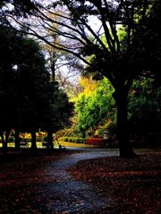 公園
