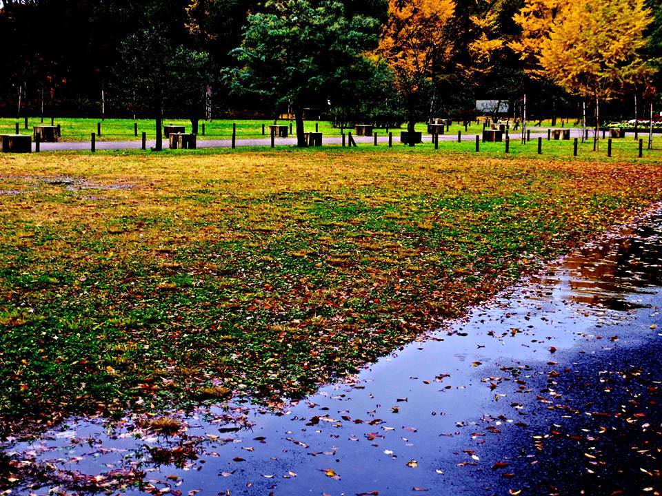 公園