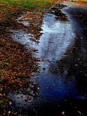 雨上がり