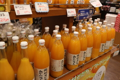 紀ノ川SA