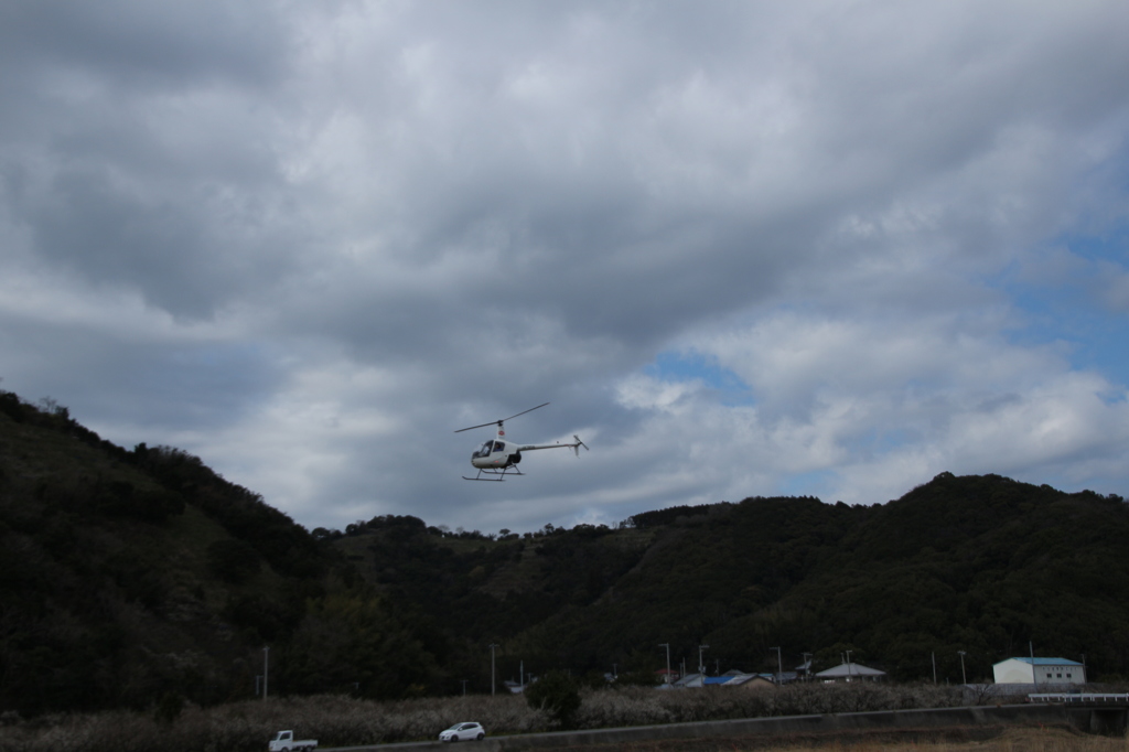 みなべ梅振興館