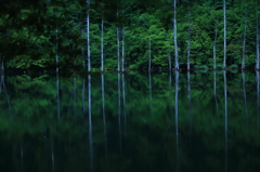 霧雨の中で