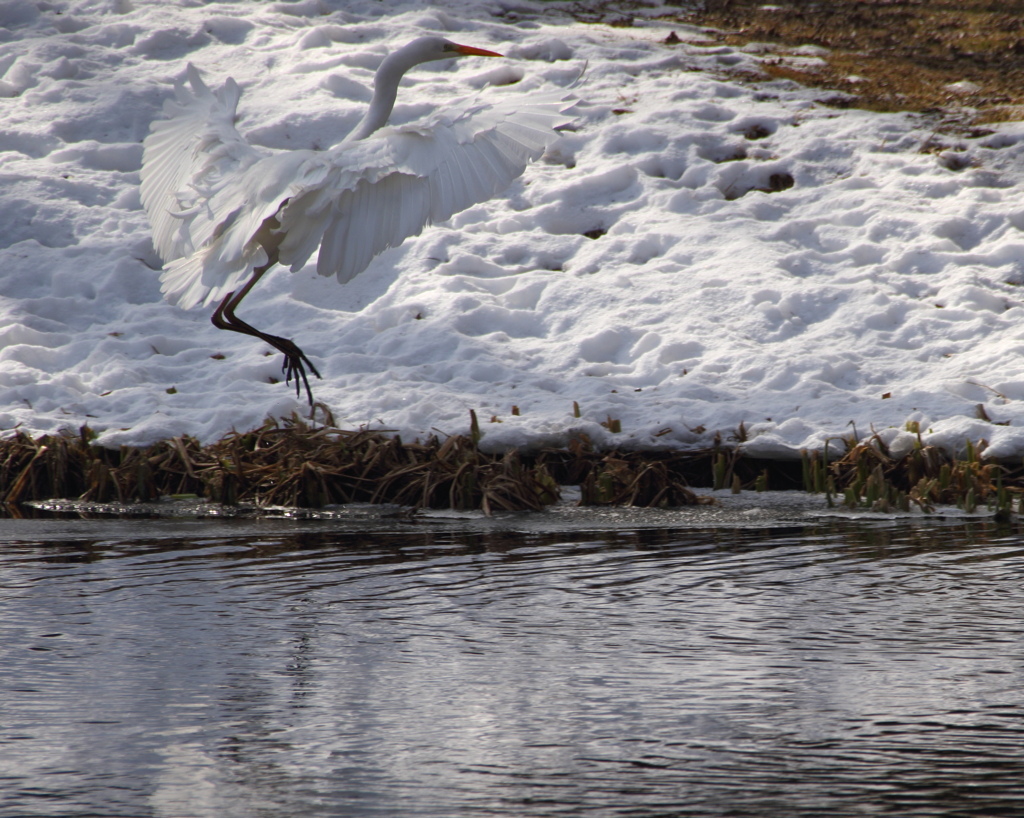 Water landing