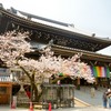 春の水間寺