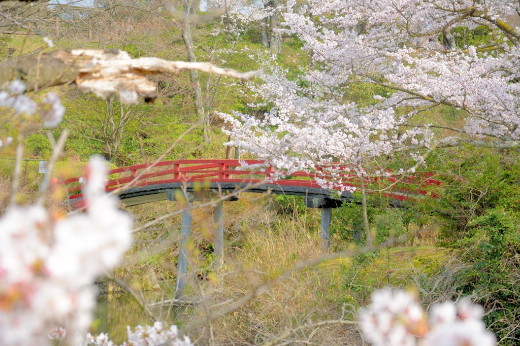 水間公園