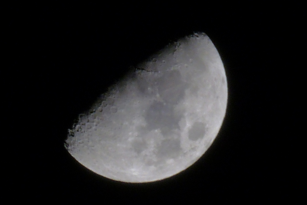P1000542