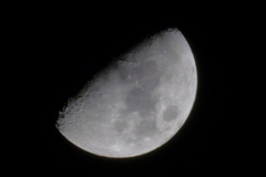 P1000542