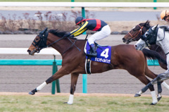 ジェンティルドンナ