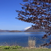 春の羊蹄山