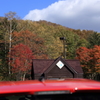 支笏湖紅葉
