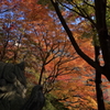 登別温泉街紅葉