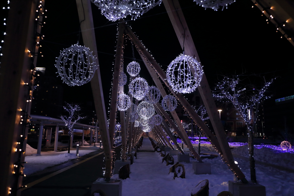 函館駅前の夜