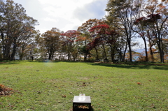 支笏湖紅葉