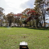支笏湖紅葉