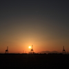 夕陽とキリン