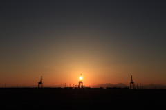 キリンの首に夕陽