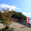 支笏湖の夏から秋