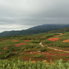 旭岳の紅葉