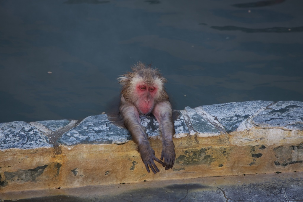 いい湯だな