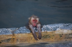 いい湯だな