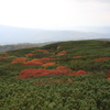 旭岳の紅葉