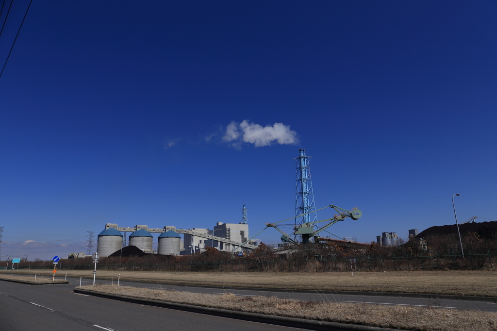 北海道の主力（昼）