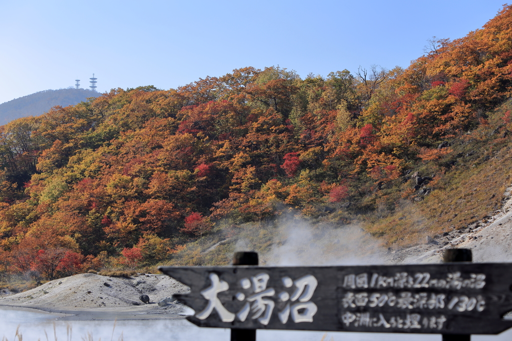 大湯沼紅葉