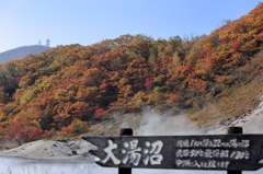 大湯沼紅葉