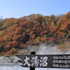 大湯沼紅葉