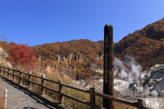 登別紅葉