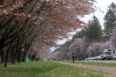 静内二十間道路ローアングル