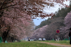 静内二十間道路ローアングル２