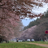 静内二十間道路ローアングル２