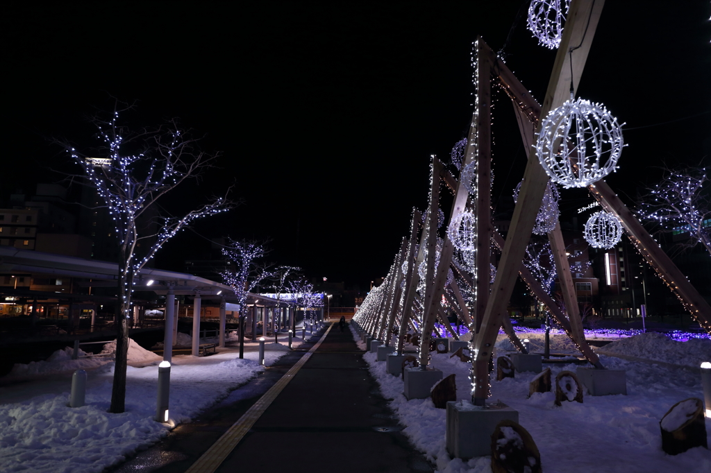 函館駅前の夜