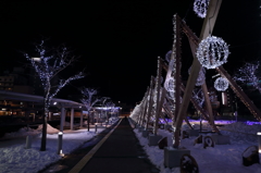 函館駅前の夜
