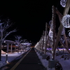 函館駅前の夜