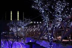 函館駅前の夜