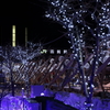 函館駅前の夜
