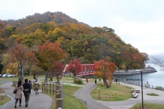 支笏湖紅葉