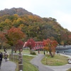 支笏湖紅葉