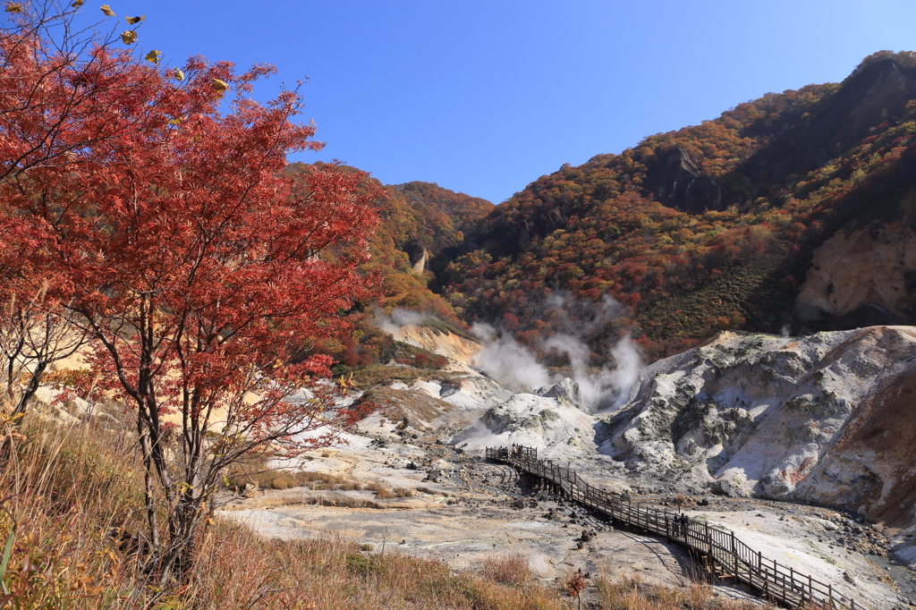 登別紅葉