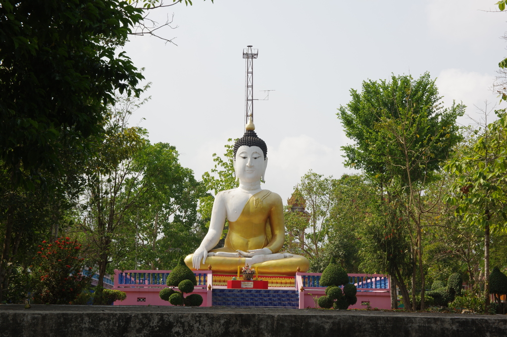 IMGP0833
