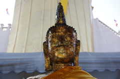 IMGP1525