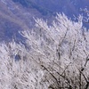 丹沢氷華