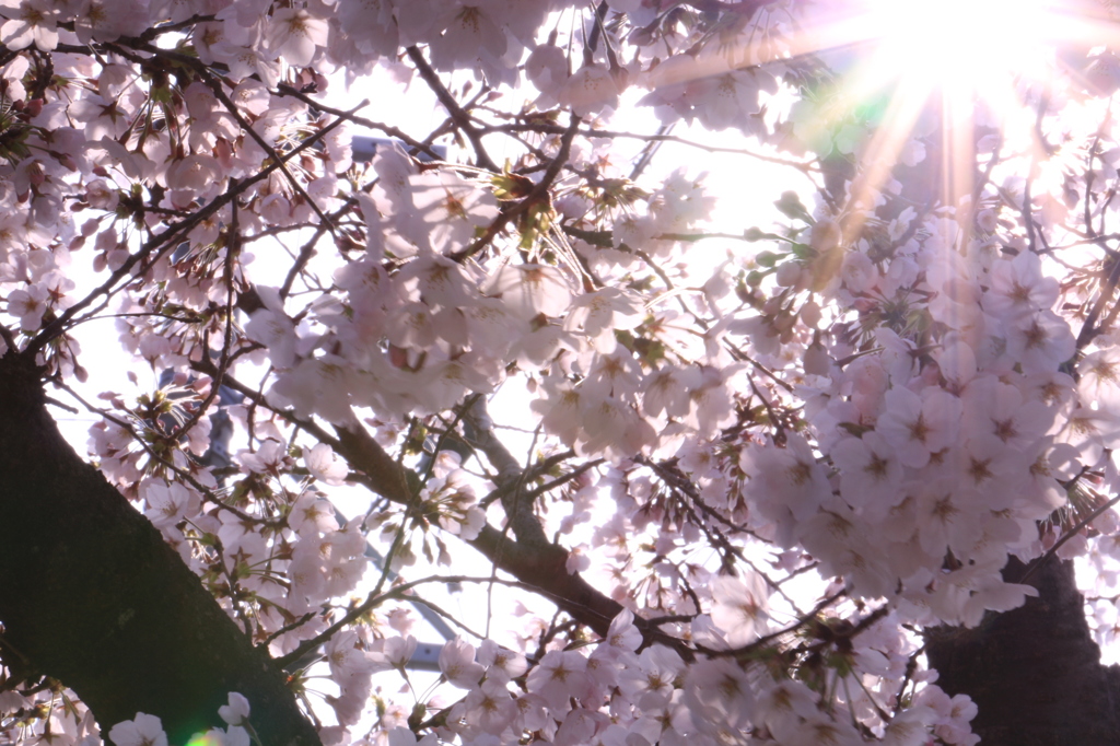 20150330085031_IMG_2669