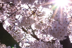 20150330085031_IMG_2669