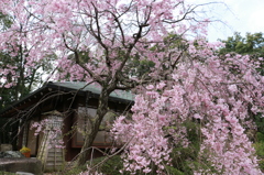 20150409081919_IMG_3616